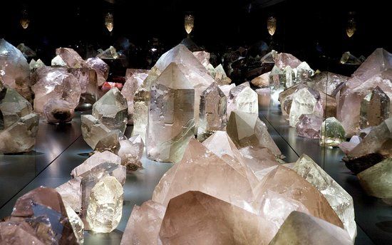 Museum of Natural History of Bern